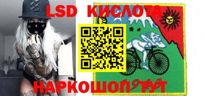 ГАЛЛЮЦИНОГЕННЫЕ ГРИБЫ Новозыбков