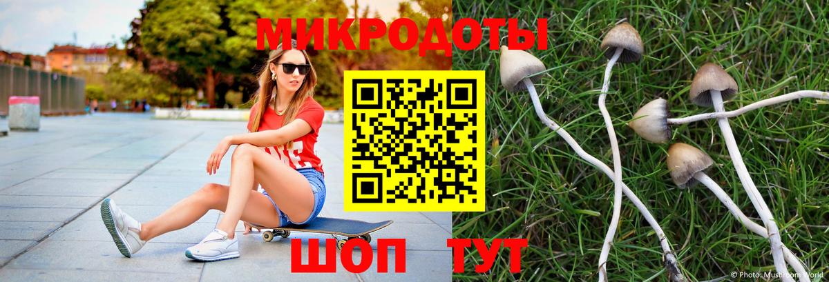 Псилоцибиновые грибы Magic Shrooms Серпухов
